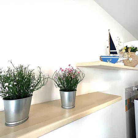 Solmare Con Piscina Lejlighed Rosapineta
